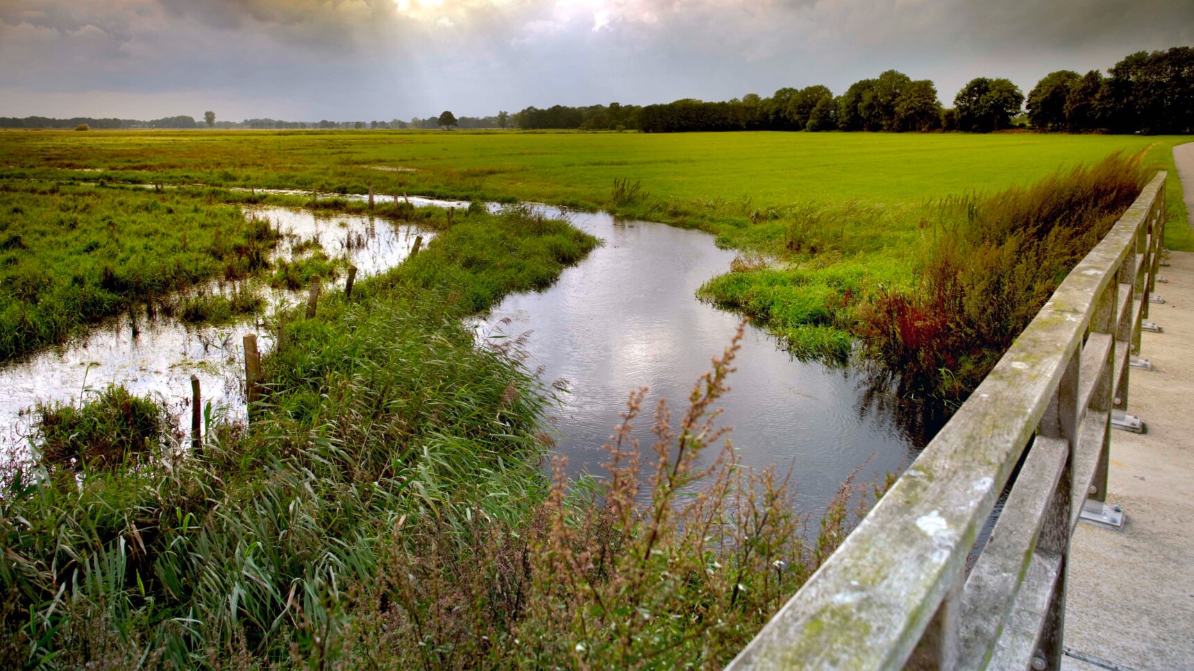 Blick von einer Brücke auf einen gewundenen Bach, umgeben von grünen Wiesen und Bäumen unter bewölktem Himmel.