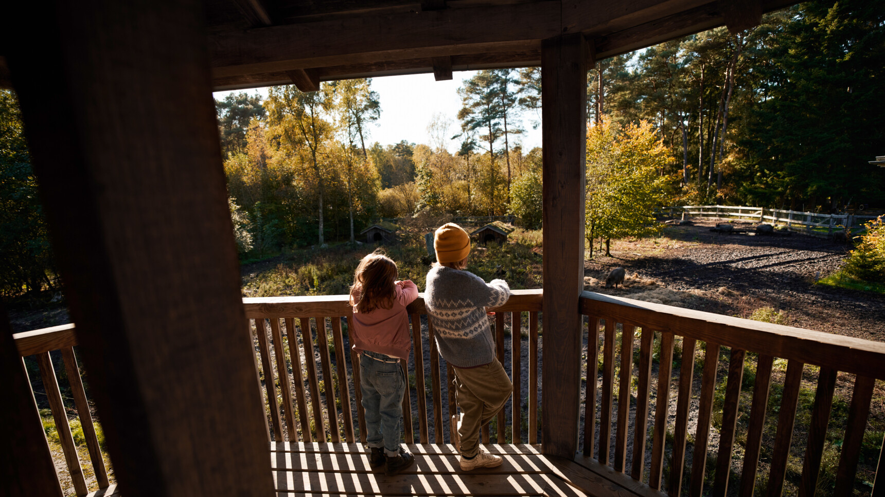 Zwei Kinder stehen auf einem Holzbalkon und beobachten ein Gehege mit Schweinen im Wald.