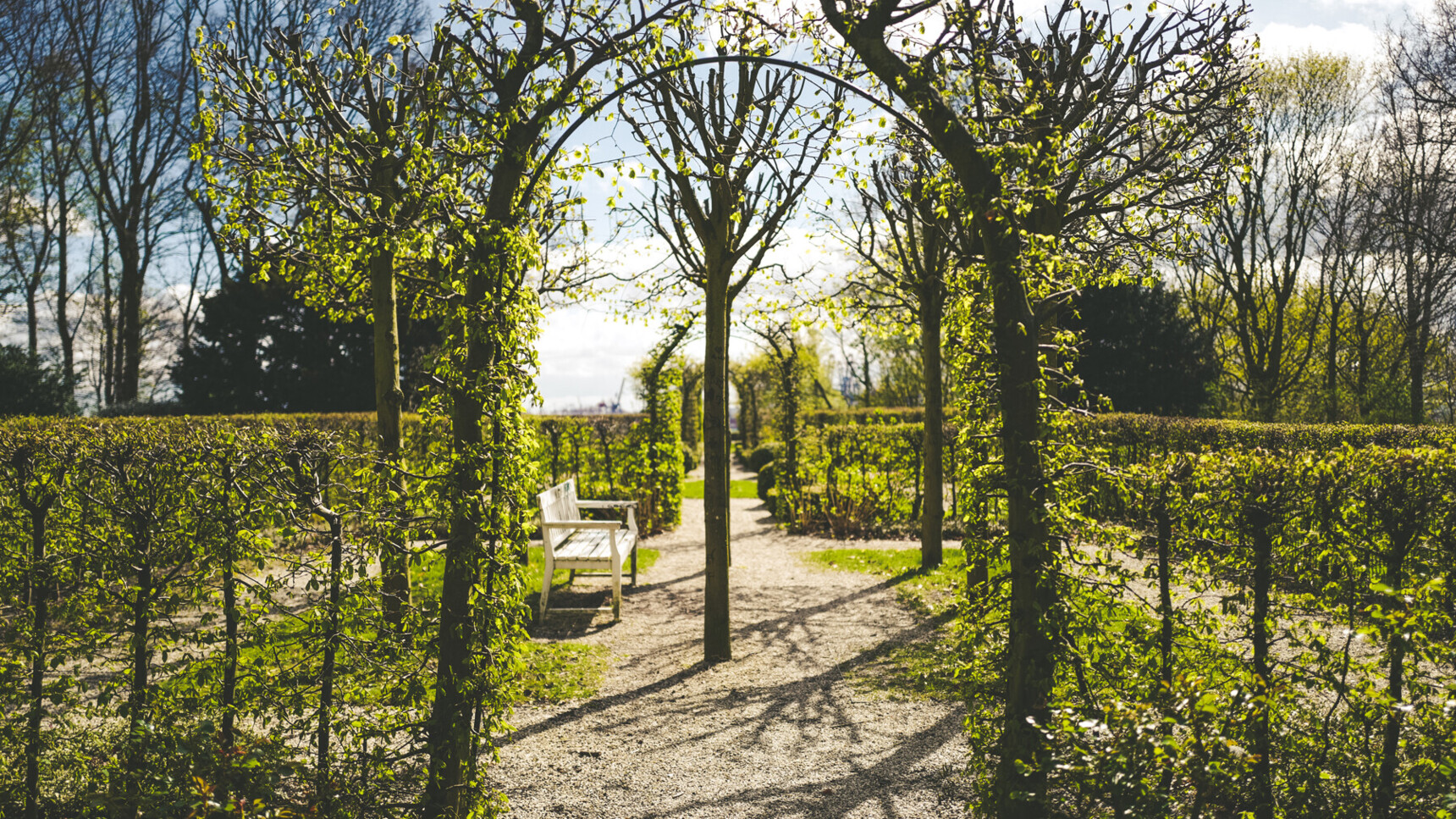 Sonniger Gartenweg mit grünen Laubbögen und einer weißen Holzbank am Rand.